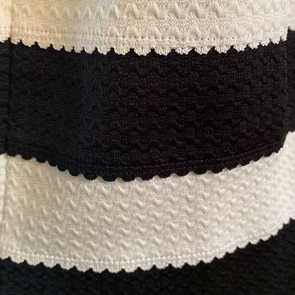 Pleated Black and White Ann Taylor Skirt - Picture 3 of 5